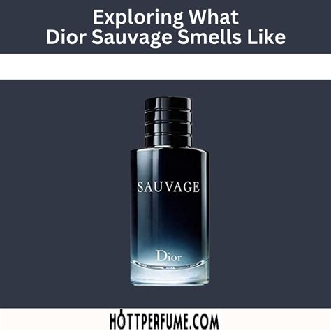 cologne that smells like sauvage|alternatives to dior sauvage.